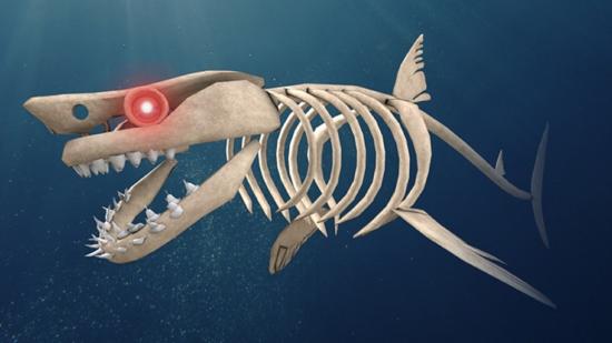 A living shark skeleton
