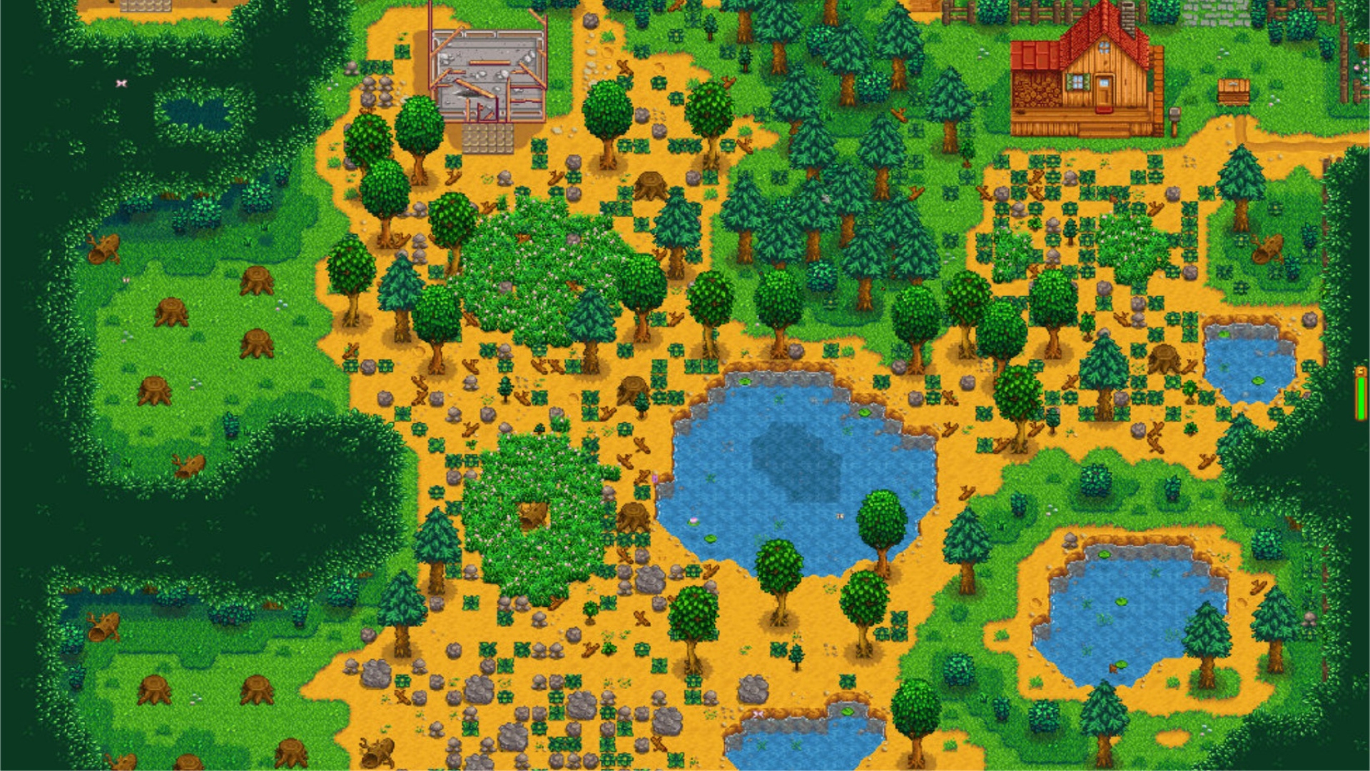 A view of Stardew Valley's forest map