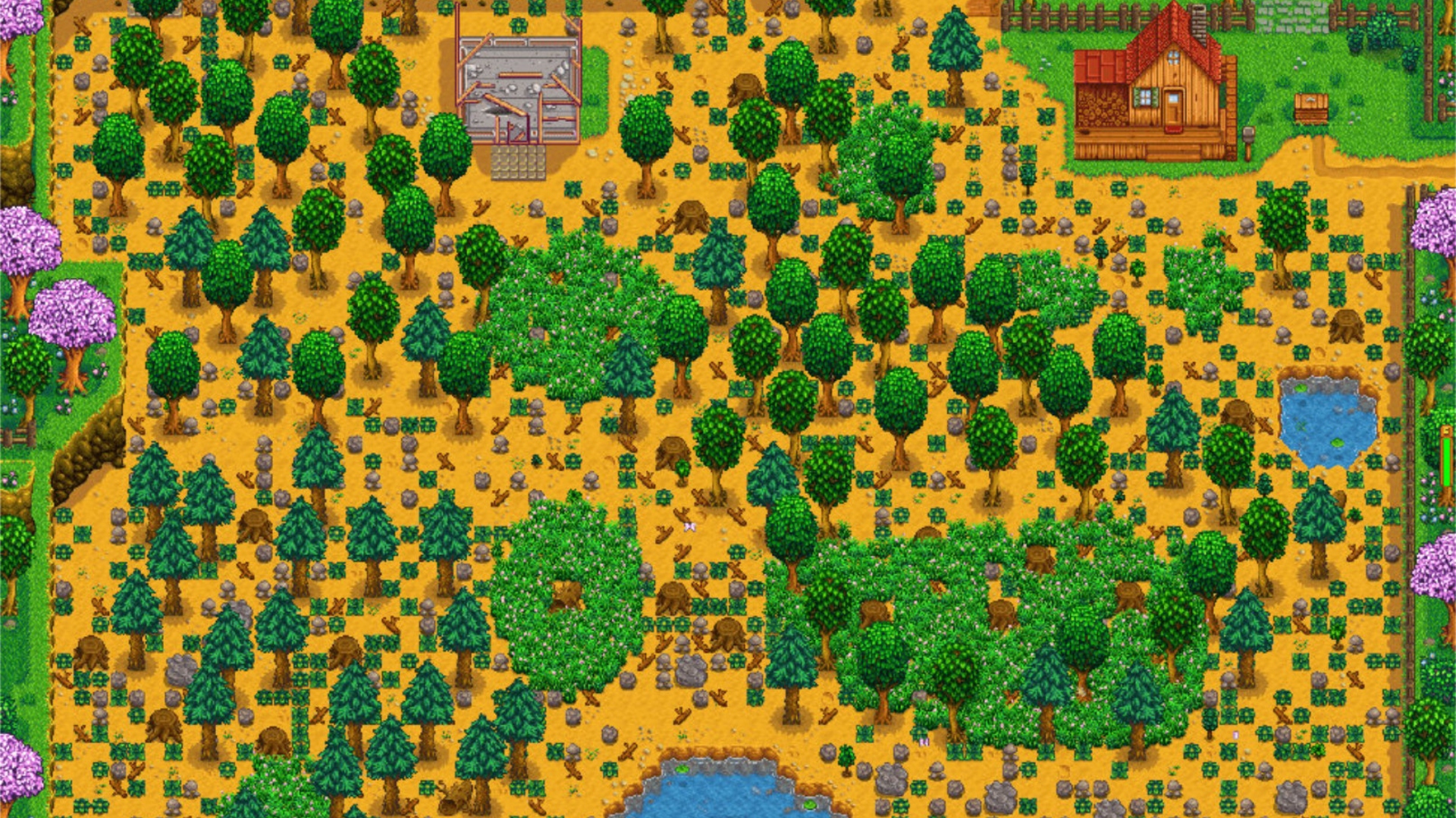 a view of Stardew Valley's standard map