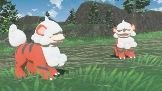 Two different Hisuian Growlithes are just chilling out on some grass, looking adorable