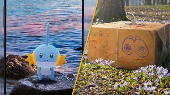 Mudkip stood on a rock in front of the sea, and a box in a forest