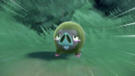 Pokemon Scarlet and Violet shiny: a screenshot shows a wild Lechonk, the small pig Pokemon, but this one has a green hue