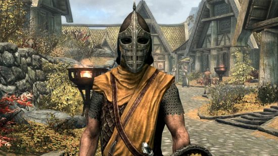 Skyrim swit and other Skyrim insults - a Whiterun guard stood in the street