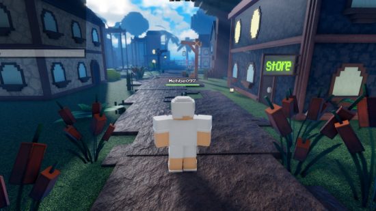 Pixel Piece codes - ann avatar in white stands next to the shop