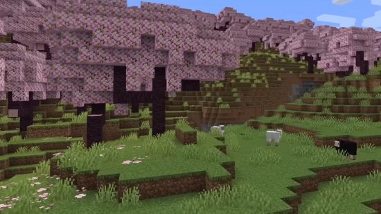 Minecraft update: a cherry blossom biome with sheep wandering around