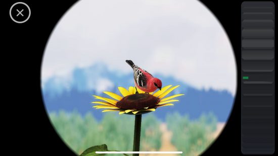 bird games World of Wings: a bird in a viewfinder