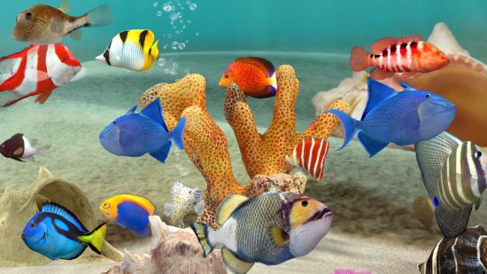 Captura de pantalla del acuario de diferentes razas de peces como guía para los mejores juegos de peces