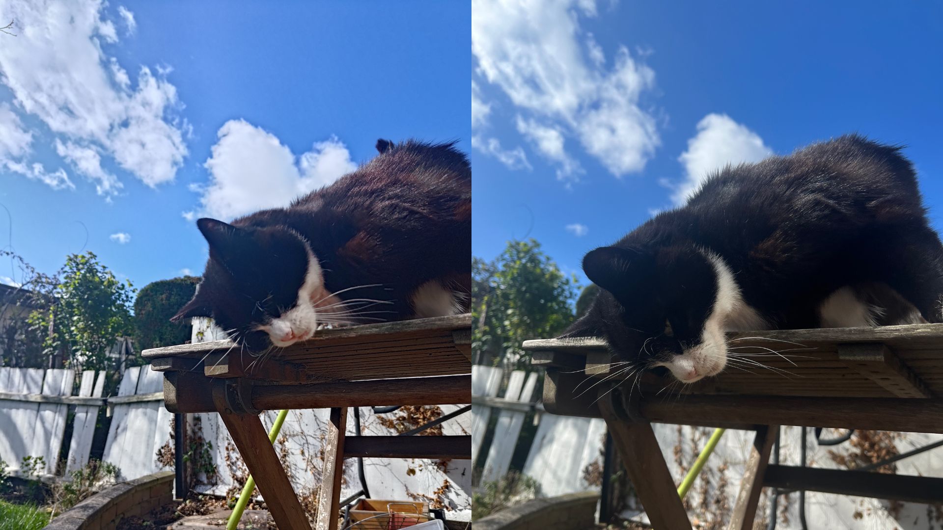Asus ROG Phone 7 review - two very similar photos of a cat, scratching its head on a table its standing on, with a few clouds in a blue sky above.