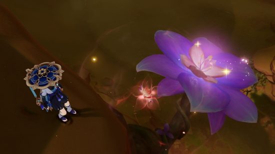 Genshin Impact Udumbara: a character in a big hat looking at a giant glowing flower