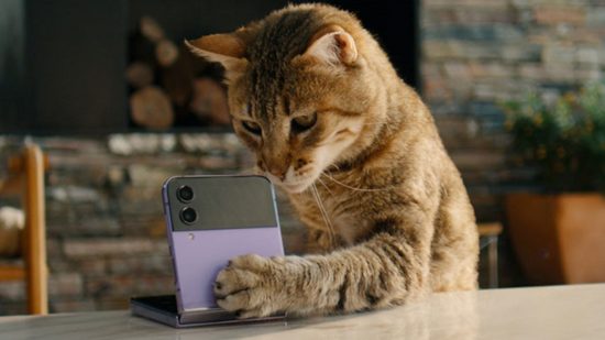 Image of a cat using a Samsung phone for mobile engagement hours 2023 news