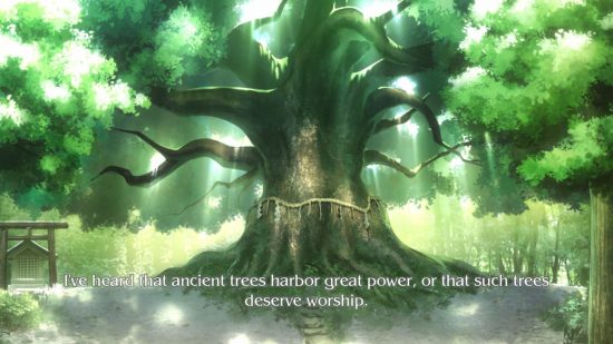 Artwork of an ancient tree in Loop8 Summer of Gods