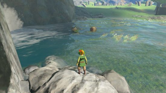 Tears of the Kingdom koroks: Link in a green shirt looking at a korok puzzle in the water