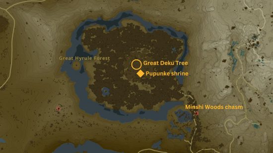 A map showing the Tears of the Kingdom lost woods location and where the chasm is
