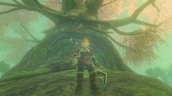 Jedna z postaci Zelda Tears of the Kingdom Link przed drzewem Deku