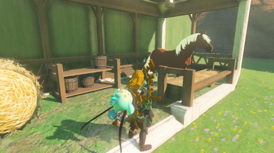 Jeden z najlepszych koni Zelda Tears of the Kingdom Epona w stajni