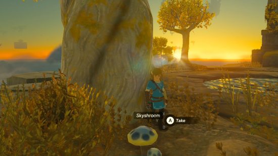 Zelda Tears of the kingdom ingredients: Link staring at a big blue mushroom
