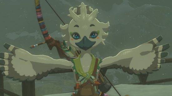 Zelda: Tears of the Kingdom sage's wills - a little bird boy with white feathers, colourful eyes, and a bow and arrow on his back. He is a cartoony humanoid bird.