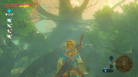 The Legend of Zelda: Breath of the Wild review image showing Link looking at the Deku Tree.
