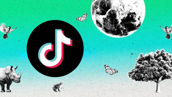 What is TikTok header showing the TikTok logo, sort of a musical note but also a 'T', in a round black circle on a background showing a rhino, a moon, a tree, and butterflies fluttering about.