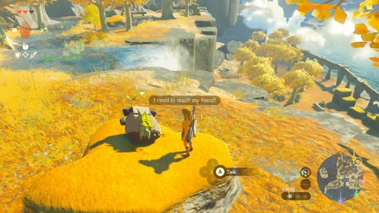 Zelda Tears of the Kingdom ADHD: Link stands in front of a Korok who wants to meet their friend
