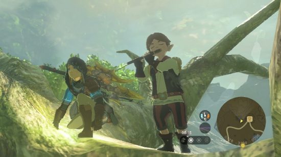 Zelda Tears of the Kingdom Pyper - Link kneeling next to Pyper on a tree branch as he plays the flute