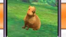 Flutter Away release date: A close-up of the capybara friend from Flutter Away