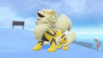 Pokemon Scarlet and Violet shiny Arcanine: A screenshot of a shiny Arcanine roaring on a snow field in Pokemon Scarlet and Violet.