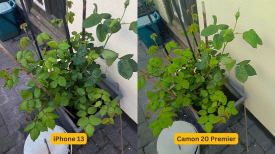 Tecno Camon 20 Premier review - two photos side by side of the same thing but on different phones, left iPhone 13, right is Camon 20 Premier. In this photo is a green shrub on a stone floor.