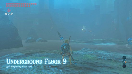 Zelda: Tears of the Kingdom DLC: Link looks over an underground dungeon filled with enemies