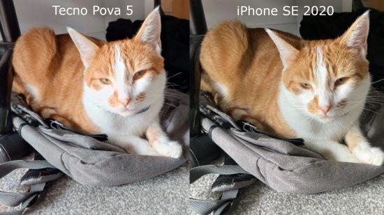 Tecno Pova 5 Free Fire Special Edition review: Two photos of Beans the orange cat, the left taken on the Pova 5 and the right taken on an iPhone SE 2020