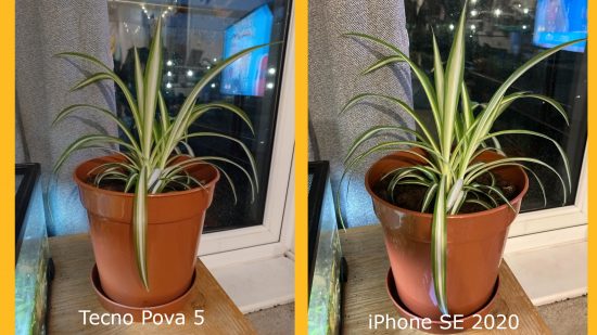 Tecno Pova 5 Free Fire Special Edition review: Two photos of a spider plant, the left taken with the Pova 5 and the right taken with an iPhone SE 2020
