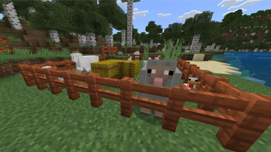 A pen of sheep and chicken in zoo games Minecraft