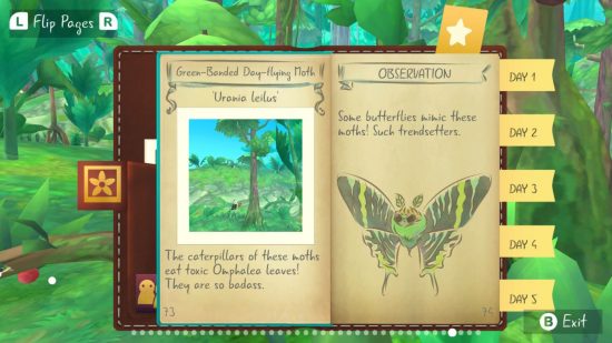 Flutter Away review: an open journal with drawing of a butterfly