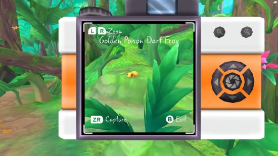 Flutter Away review: the back of a camera showing a poison dart frog