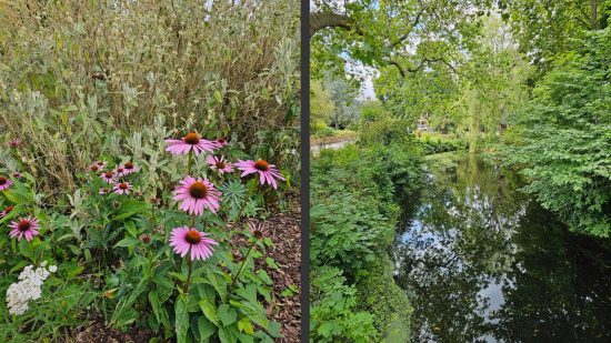 Samsung Galaxy S23 Ultra review photo examples showing two bucolic scenes, a closeup of flowers on the left and a lake surrounded by leafy trees on the right.