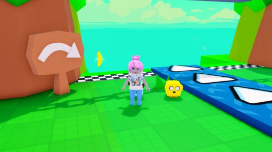 A roblox character in How Far Can You Slide codes with two pets next to them