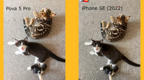 Tecno Pova 5 Pro 5G Free Fire Special Edition review: A comparison graphic showing two photos of kittens, the left taken with the Pova 5 Pro and the right taken with the iPhone SE (2022)