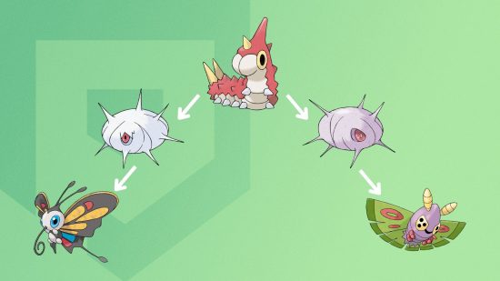 A chart showing all the possible Wurmple evolutions and their different stages