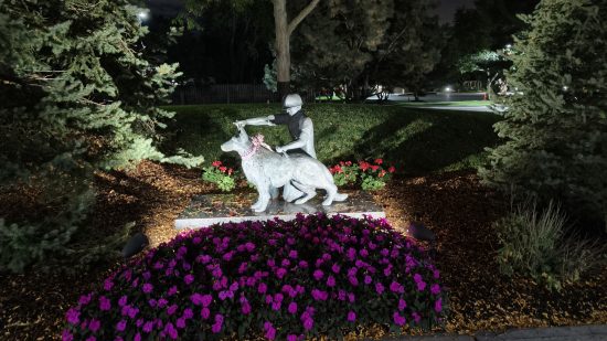 A picture of a statue of a human and a dog surrounded by flowers taken at night using the Oppo Find N3 Flip for a review of the phone