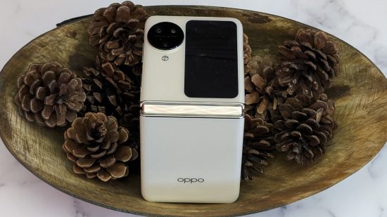 Picture of the Oppo Find N3 Flip half open in a display bowl of acorns for review