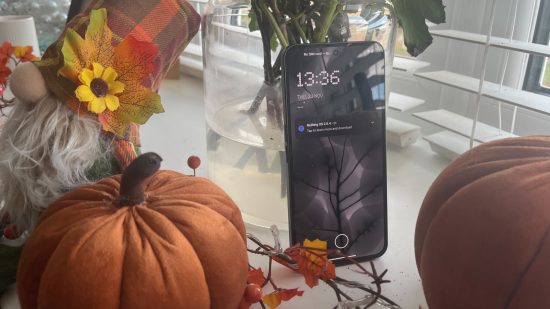 Photo for Nothing Phone 2 review with the device stood against a vase and some autumnal pumpkins
