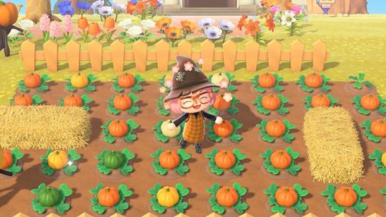 Animal Crossing Christmas joy: Daz's player character wearing a tattered witch hat and an orange and black dress, emoting happily in a large patch of pumpkins in ACNH featuring a couple of hay bales and a picket fence