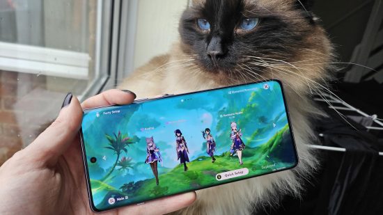 The OnePlus 12R Genshin Impact edition next to a very handsome ragdoll cat