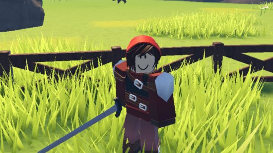 Swordbuster 3 codes: an avatar in a red beanie and armor holding a sword stood in tall grass in front of a wodden fence