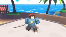 Anime Swords X codes screenshot showing a warrior in a blue pizza jumper and red beanie holding a sword in front of the ocean and palm trees