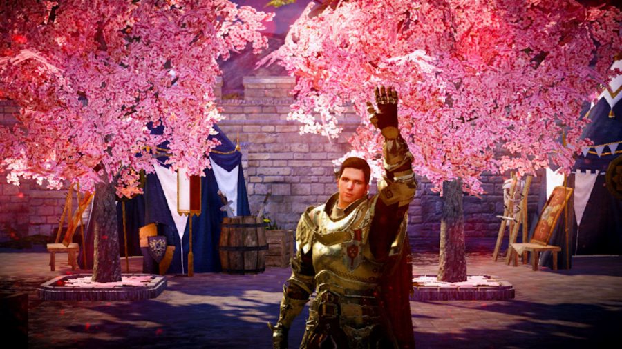 An armoured character waves with trees in the background in Black Desert Mobile