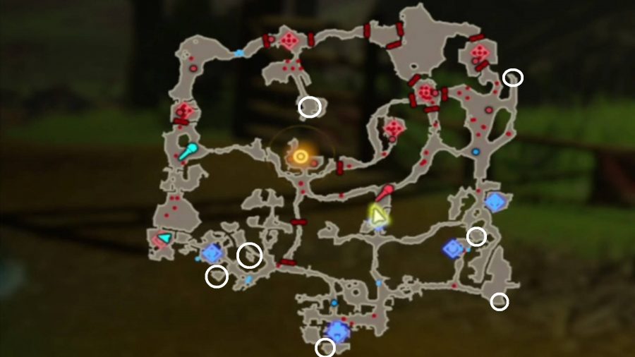 All but one of the Korok Seeds in The Yiga Clan Attacks!