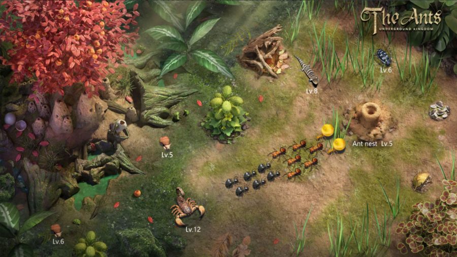 A screenshot of ants protecting their colony