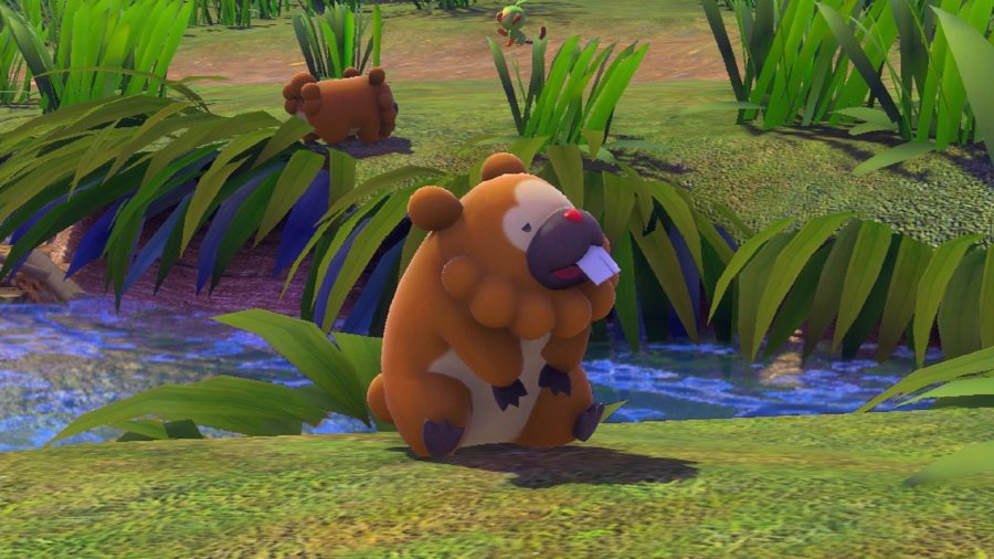 A bidoof thinking about life