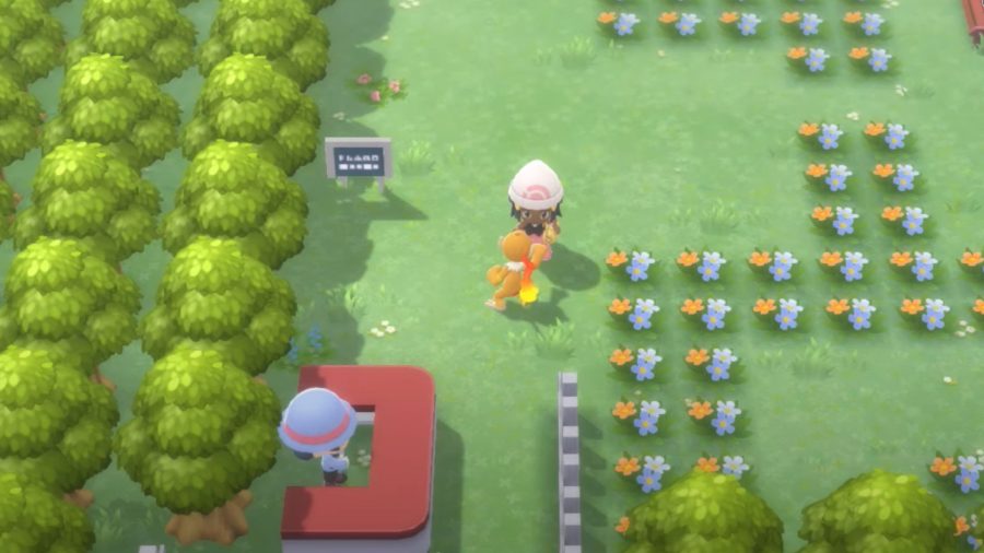 BDSP Pokémon following a player in a park